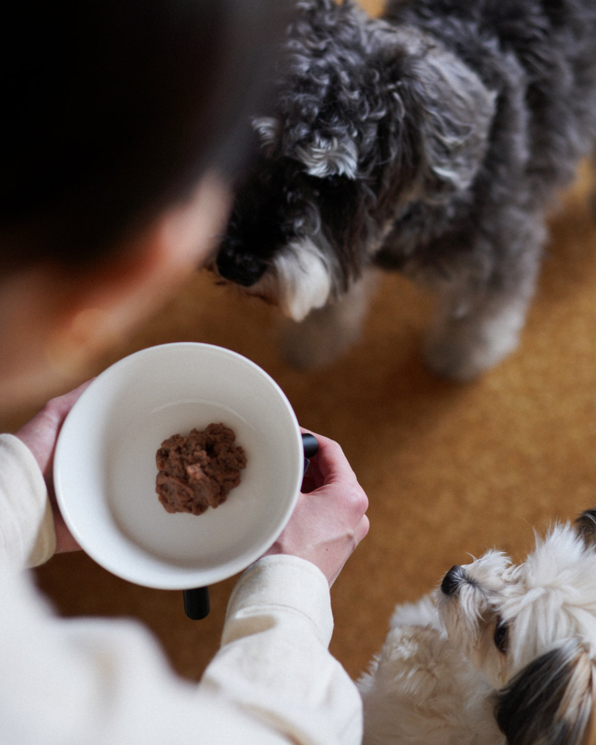 FERMES 全部お試しセット 全9種 愛犬食事